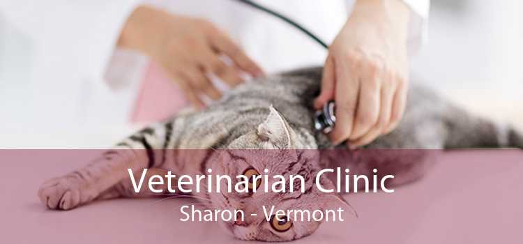 Veterinarian Clinic Sharon - Vermont