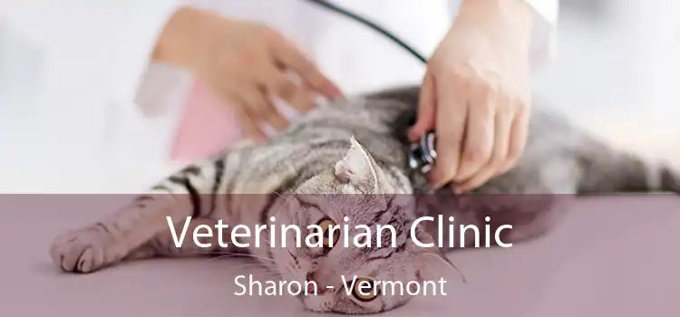 Veterinarian Clinic Sharon - Vermont