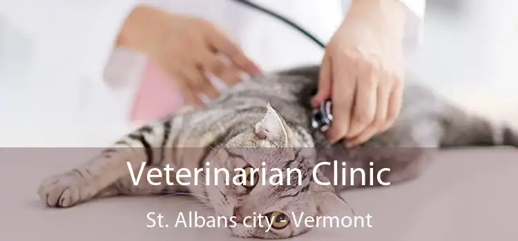 Veterinarian Clinic St. Albans city - Vermont