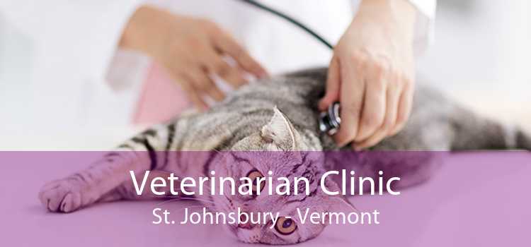 Veterinarian Clinic St. Johnsbury - Vermont