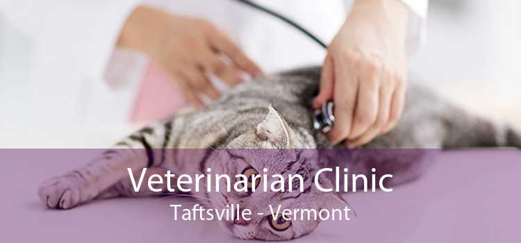 Veterinarian Clinic Taftsville - Vermont