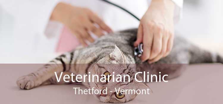 Veterinarian Clinic Thetford - Vermont