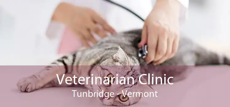 Veterinarian Clinic Tunbridge - Vermont