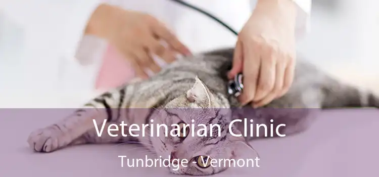 Veterinarian Clinic Tunbridge - Vermont