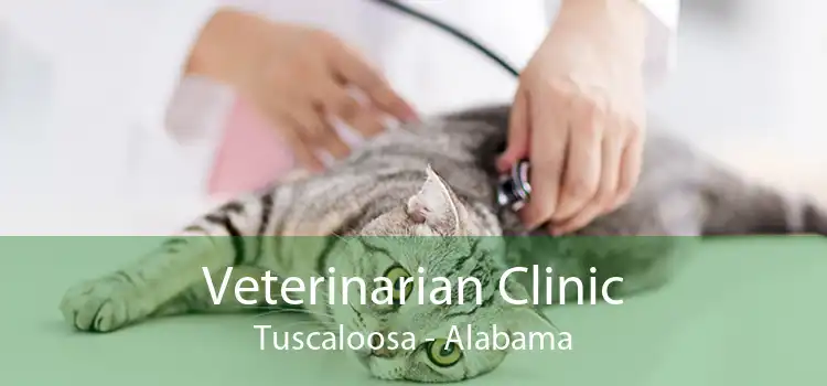 Veterinarian Clinic Tuscaloosa - Alabama