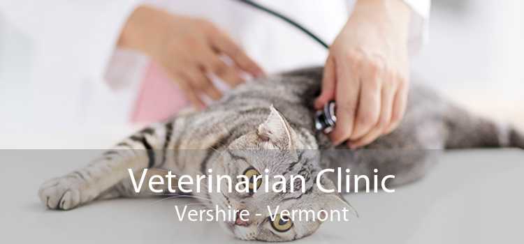 Veterinarian Clinic Vershire - Vermont