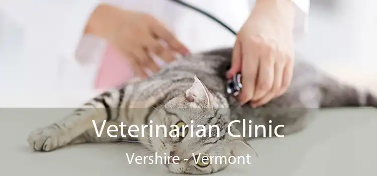 Veterinarian Clinic Vershire - Vermont
