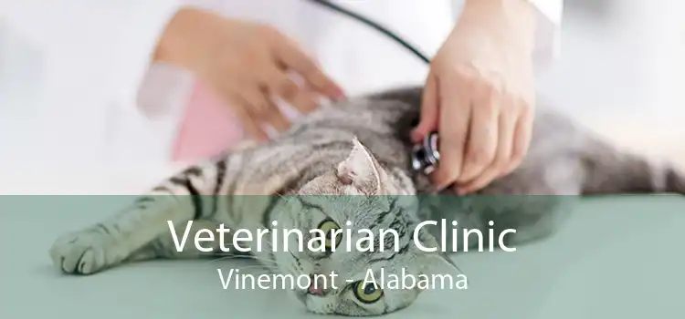Veterinarian Clinic Vinemont - Alabama