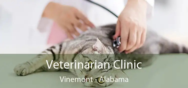 Veterinarian Clinic Vinemont - Alabama