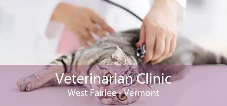 Veterinarian Clinic West Fairlee - Vermont