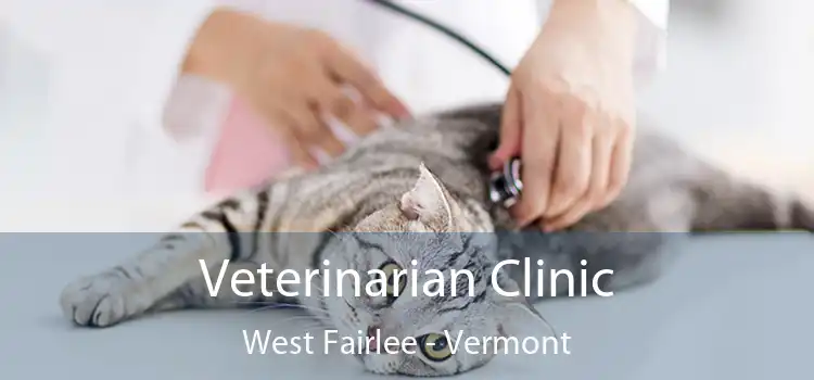 Veterinarian Clinic West Fairlee - Vermont