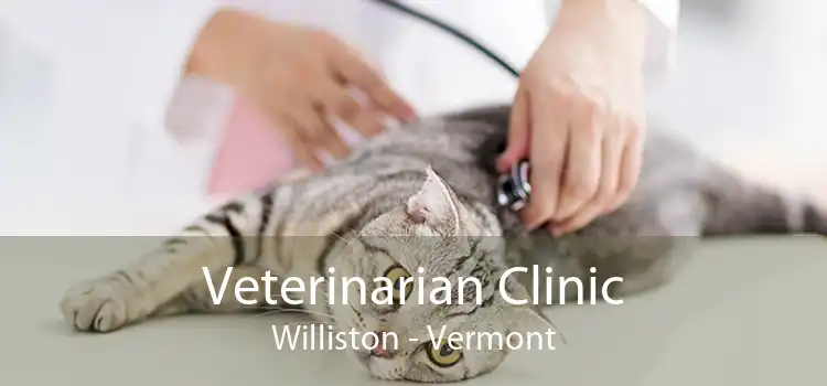 Veterinarian Clinic Williston - Vermont
