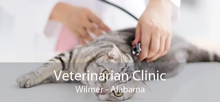Veterinarian Clinic Wilmer - Alabama