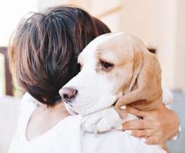 pet euthanasia in Essex Junction